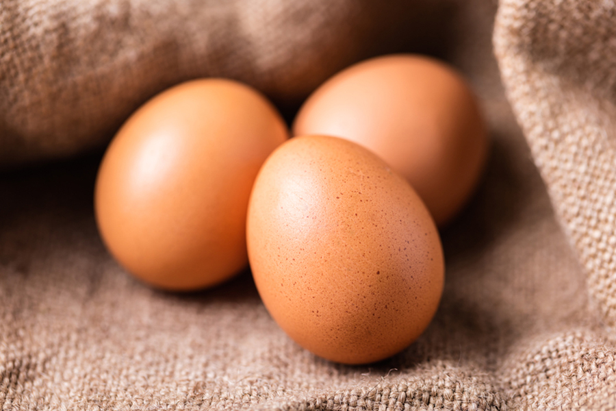 Chickens Lay Brown Eggs