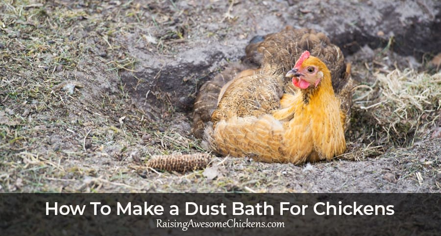 How To Make a Dust Bath For Chickens