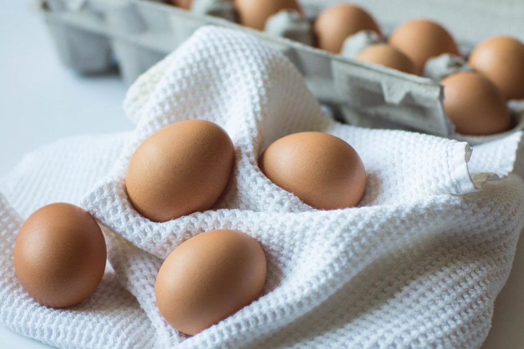 Australorp Chicken Eggs
