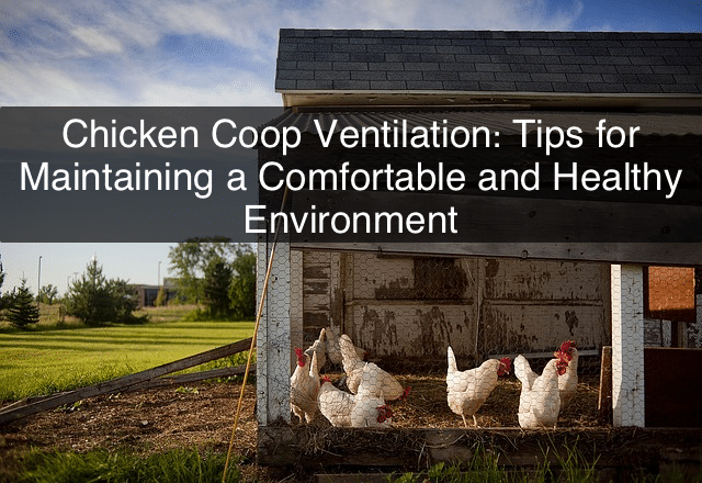 Chicken Coop Ventilation: Tips for Maintaining a Comfortable and Healthy Environment
