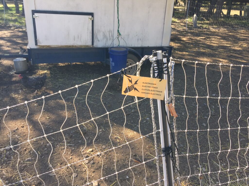 solar powered chicken run