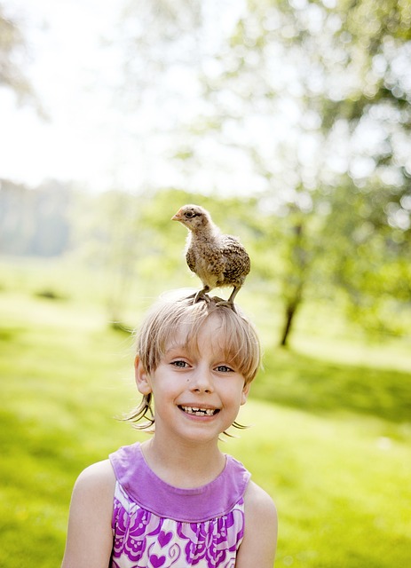 Spend time with your chickens!