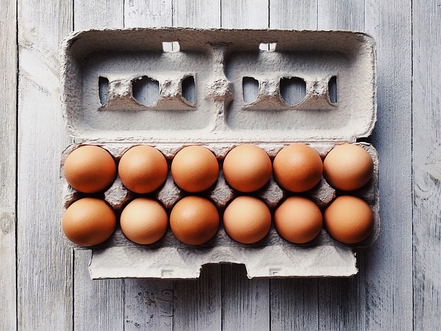 Factors Affecting Egg Production