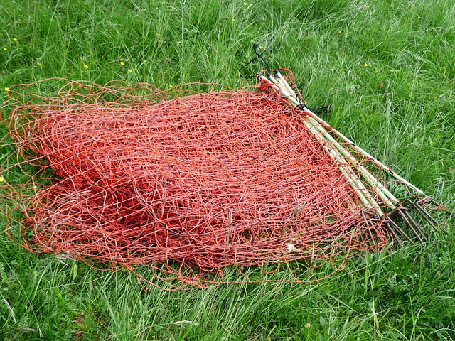 Electric poultry netting helps with Keeping Snakes Away from Your Chicken Coop