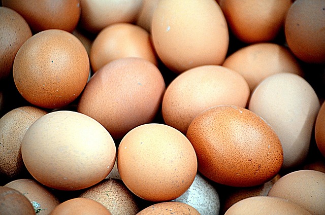 how many eggs do chickens lay in a day?