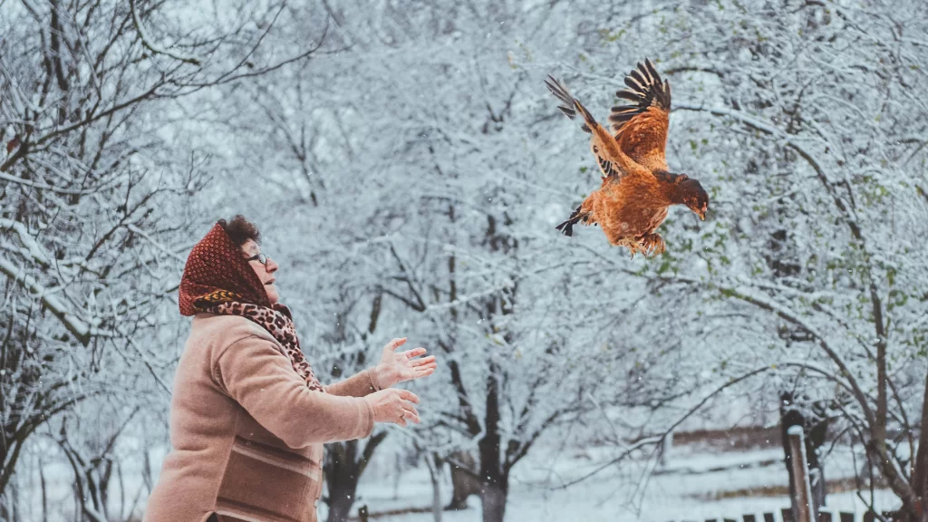 A woman trying to catch her flying chicken